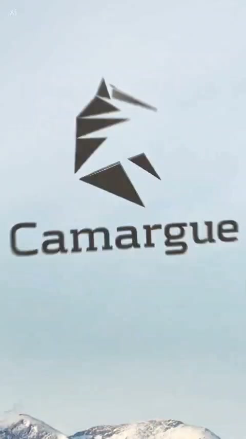 Compass Insurance Company Limited